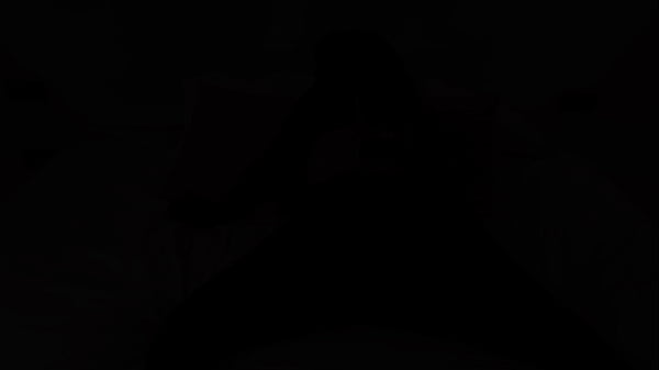 The four of us fucked an ebony girl – Lexi Luv